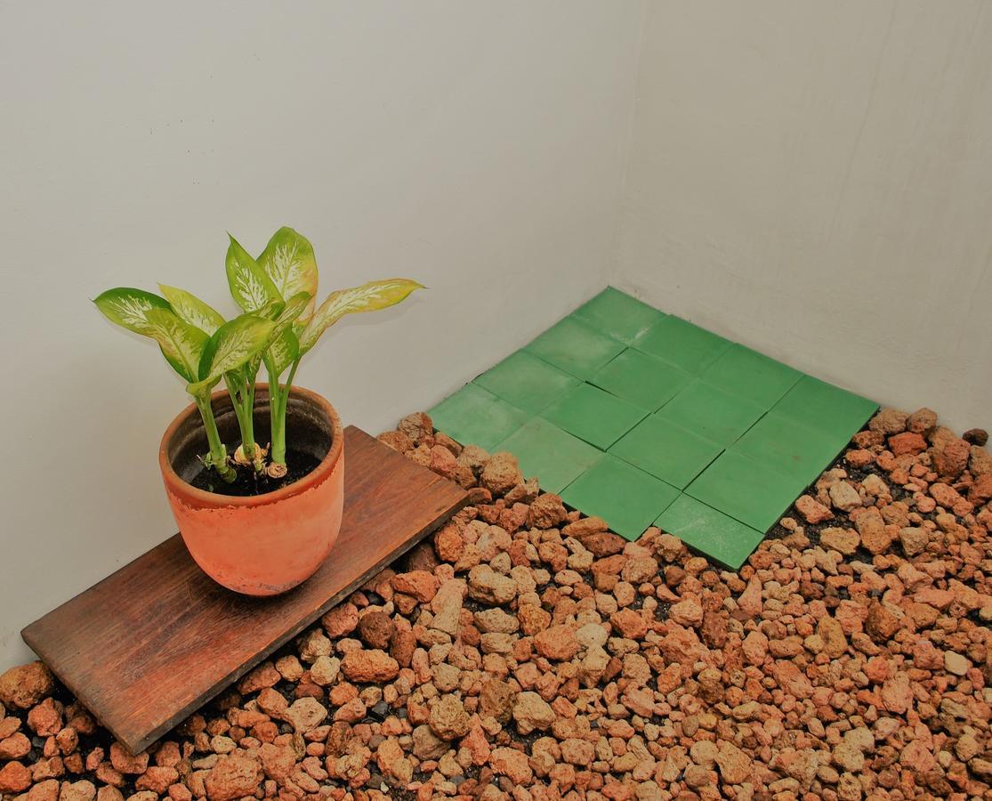 الشقق الفندقية غرناطةفي  Casa Calala المظهر الخارجي الصورة